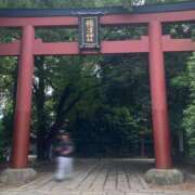 ヒメ日記 2025/06/26 13:44 投稿 進藤 シャトーペトラ