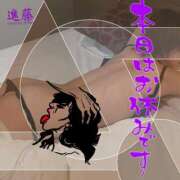 ヒメ日記 2025/06/28 07:22 投稿 進藤 シャトーペトラ