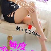 ヒメ日記 2025/07/27 05:50 投稿 進藤 シャトーペトラ