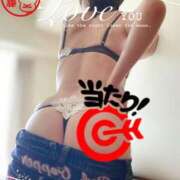 ヒメ日記 2025/07/29 06:37 投稿 進藤 シャトーペトラ