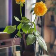 ヒメ日記 2025/07/29 17:37 投稿 進藤 シャトーペトラ