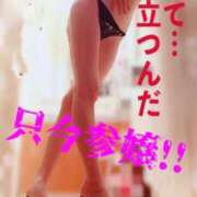 ヒメ日記 2025/08/10 06:50 投稿 進藤 シャトーペトラ