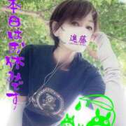 ヒメ日記 2025/08/16 07:55 投稿 進藤 シャトーペトラ