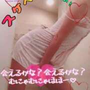 ヒメ日記 2025/08/26 07:31 投稿 進藤 シャトーペトラ