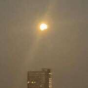 ヒメ日記 2025/09/08 05:01 投稿 進藤 シャトーペトラ