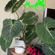 ヒメ日記 2025/09/23 08:01 投稿 進藤 シャトーペトラ