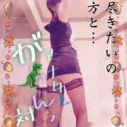 ヒメ日記 2025/09/24 05:40 投稿 進藤 シャトーペトラ