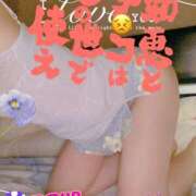 ヒメ日記 2025/10/08 14:33 投稿 進藤 シャトーペトラ