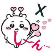 ヒメ日記 2025/10/29 12:45 投稿 進藤 シャトーペトラ