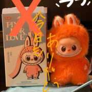 ヒメ日記 2025/11/05 11:49 投稿 進藤 シャトーペトラ