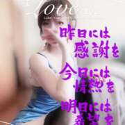 ヒメ日記 2025/11/11 16:01 投稿 進藤 シャトーペトラ