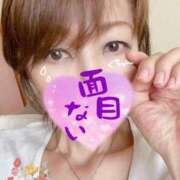 ヒメ日記 2025/11/12 14:18 投稿 進藤 シャトーペトラ