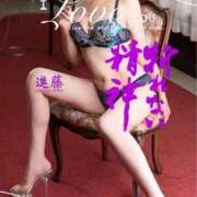 ヒメ日記 2025/11/24 07:58 投稿 進藤 シャトーペトラ