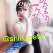 進藤 おはよー^_^ シャトーペトラ