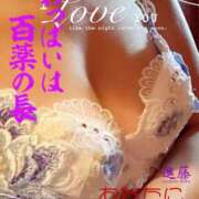 ヒメ日記 2025/12/14 06:52 投稿 進藤 シャトーペトラ