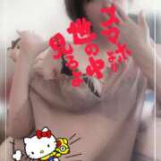 ヒメ日記 2025/12/28 12:38 投稿 進藤 シャトーペトラ