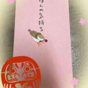 ヒメ日記 2026/02/03 14:37 投稿 進藤 シャトーペトラ