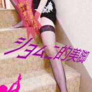 ヒメ日記 2026/02/07 07:11 投稿 進藤 シャトーペトラ