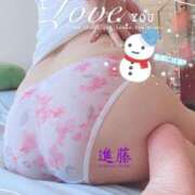 ヒメ日記 2026/02/09 07:19 投稿 進藤 シャトーペトラ