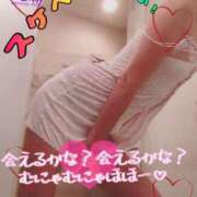 ヒメ日記 2026/02/23 08:58 投稿 進藤 シャトーペトラ