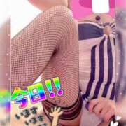 ヒメ日記 2026/02/25 05:52 投稿 進藤 シャトーペトラ