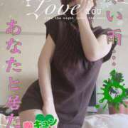 ヒメ日記 2026/03/03 07:14 投稿 進藤 シャトーペトラ