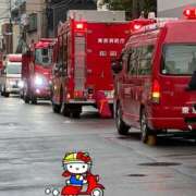 ヒメ日記 2026/03/10 09:18 投稿 進藤 シャトーペトラ