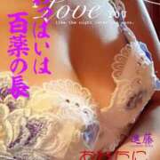 ヒメ日記 2026/03/23 07:18 投稿 進藤 シャトーペトラ