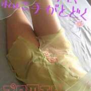 ヒメ日記 2026/03/24 08:16 投稿 進藤 シャトーペトラ