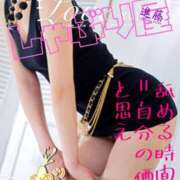 ヒメ日記 2026/03/28 10:12 投稿 進藤 シャトーペトラ