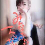 ヒメ日記 2026/03/31 17:02 投稿 進藤 シャトーペトラ