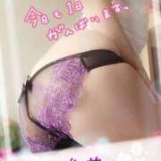 ヒメ日記 2026/04/12 07:05 投稿 進藤 シャトーペトラ