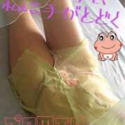 進藤 　嫌な雨！ シャトーペトラ