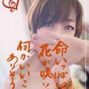 ヒメ日記 2026/08/27 07:26 投稿 進藤 シャトーペトラ