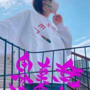 ヒメ日記 2026/10/22 08:02 投稿 進藤 シャトーペトラ