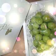 ヒメ日記 2025/10/16 21:40 投稿 彩 シャトーペトラ