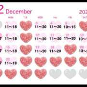 ヒメ日記 2025/11/17 09:08 投稿 彩 シャトーペトラ