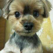 ヒメ日記 2025/11/27 21:29 投稿 彩 シャトーペトラ