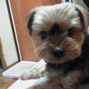 ヒメ日記 2025/12/15 14:31 投稿 彩 シャトーペトラ