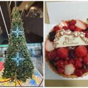 ひとみ メリークリスマス シャトーペトラ