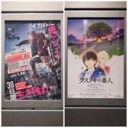 ひとみ 明日出勤です シャトーペトラ