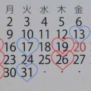 ヒメ日記 2026/03/08 19:15 投稿 ひとみ シャトーペトラ