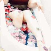 ヒメ日記 2025/07/14 09:14 投稿 藤咲 シャトーペトラ