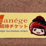 ヒメ日記 2025/01/16 18:10 投稿 ふじの シャトーペトラ