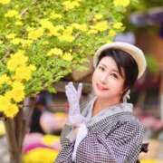 ヒメ日記 2025/01/29 09:31 投稿 ふじの シャトーペトラ