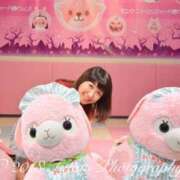 ヒメ日記 2025/02/16 19:38 投稿 ふじの シャトーペトラ