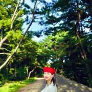 ヒメ日記 2025/04/01 09:05 投稿 ふじの シャトーペトラ