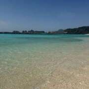 ヒメ日記 2025/04/14 11:33 投稿 ふじの シャトーペトラ