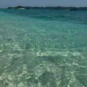 ヒメ日記 2025/04/15 12:40 投稿 ふじの シャトーペトラ