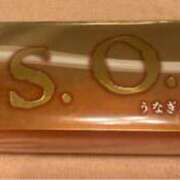 ヒメ日記 2025/09/15 18:42 投稿 ふじの シャトーペトラ